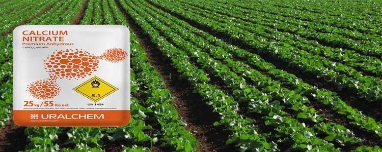Cómo utilizar el nitrato de calcio para tus plantas 3 fertilización con nitrato cálcico