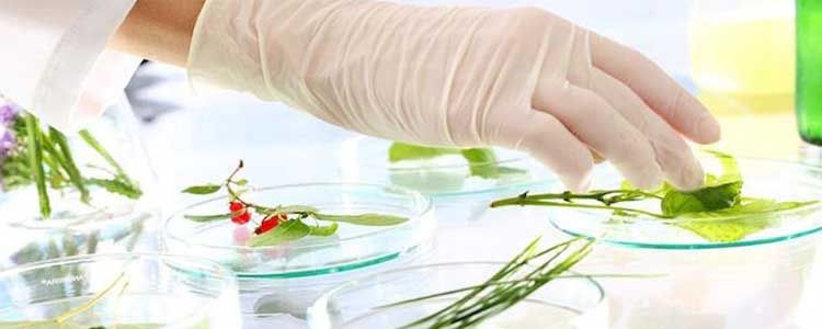 Bioestimulantes y fertilizantes avanzados 3 Bioestimulantes para aplicación en agricultura