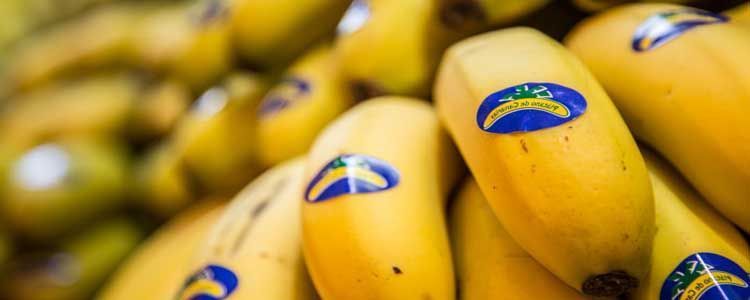 ¿Cuál es la diferencia entre plátano y banana? 4 Diferencias entre plátano de canarias y bananas