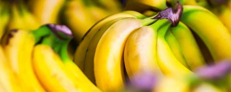 ¿Cuál es la diferencia entre plátano y banana? 5 Diferencias entre plátano y banana