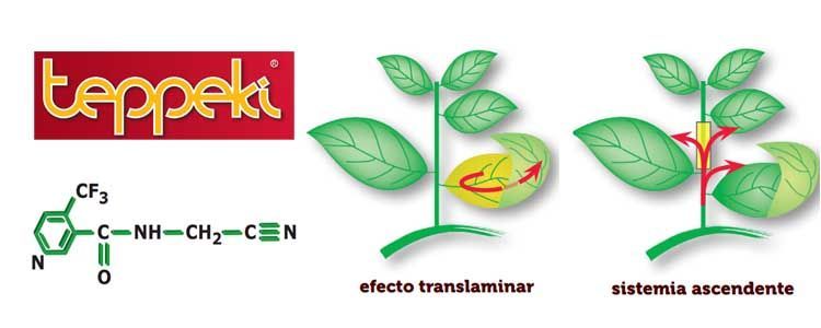 Cómo utilizar insecticida Teppeki contra pulgón 3 Formulación Teppeki