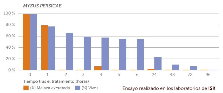 Cómo utilizar insecticida Teppeki contra pulgón 4 Teppeki contra Myzus persicae en cítricos