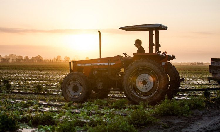 En qué consiste la biodinámica en agricultura 3 En qué consiste la biodinámica