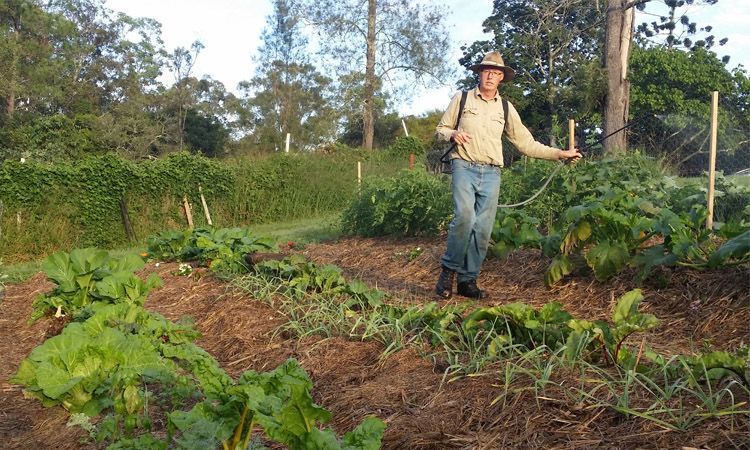 En qué consiste la biodinámica en agricultura 4 Guía de biodinámica