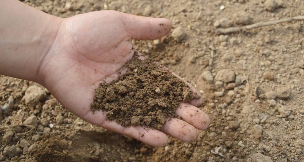 Herramienta de interpretación de análisis de suelo 1 Saber el pH del suelo