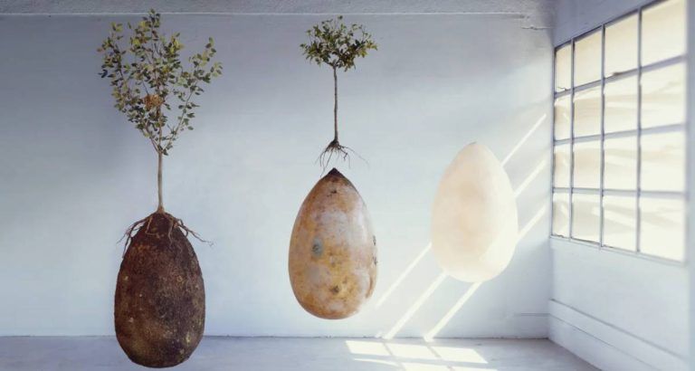 Sostenibilidad y medio ambiente 10 Capsula Mundi entierro