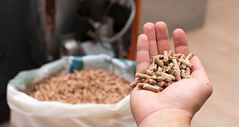 Pellets de lino