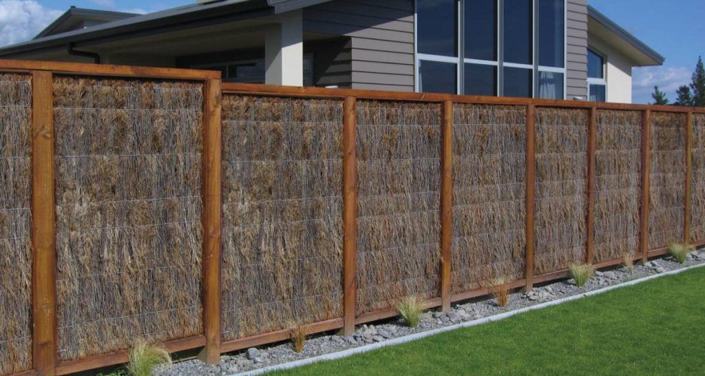 Brezo para vallas, privacidad natural en tu jardín 9 Brezo para vallas
