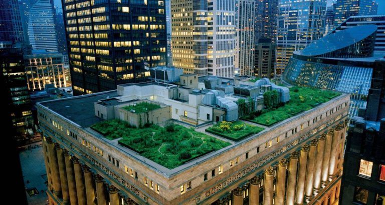 Edificios con tejados verdes