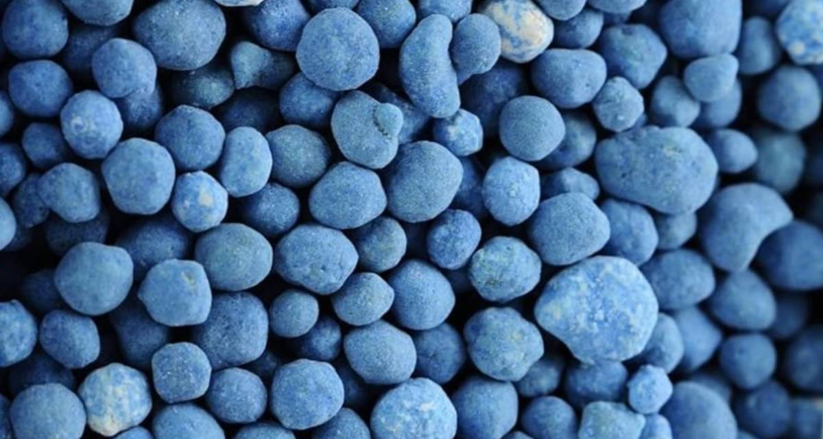 Abono azul universal: cómo usar en macetas 2 Abono azul universal