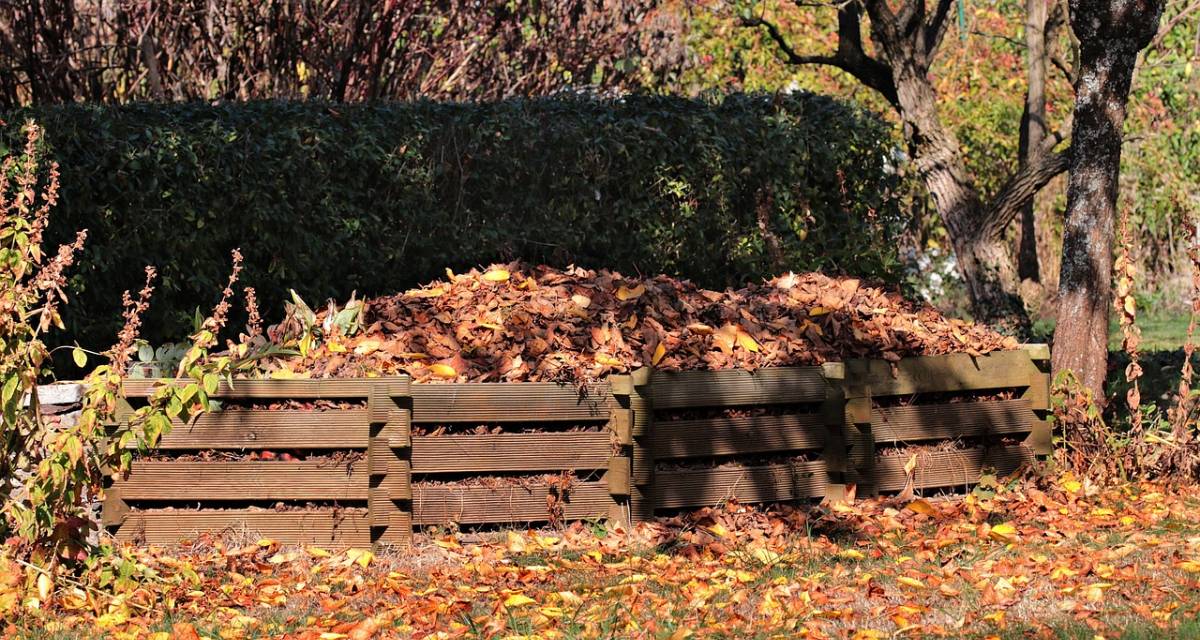 Qué plantar y cosechar en octubre en tu jardín 2 qué plantar en octubre