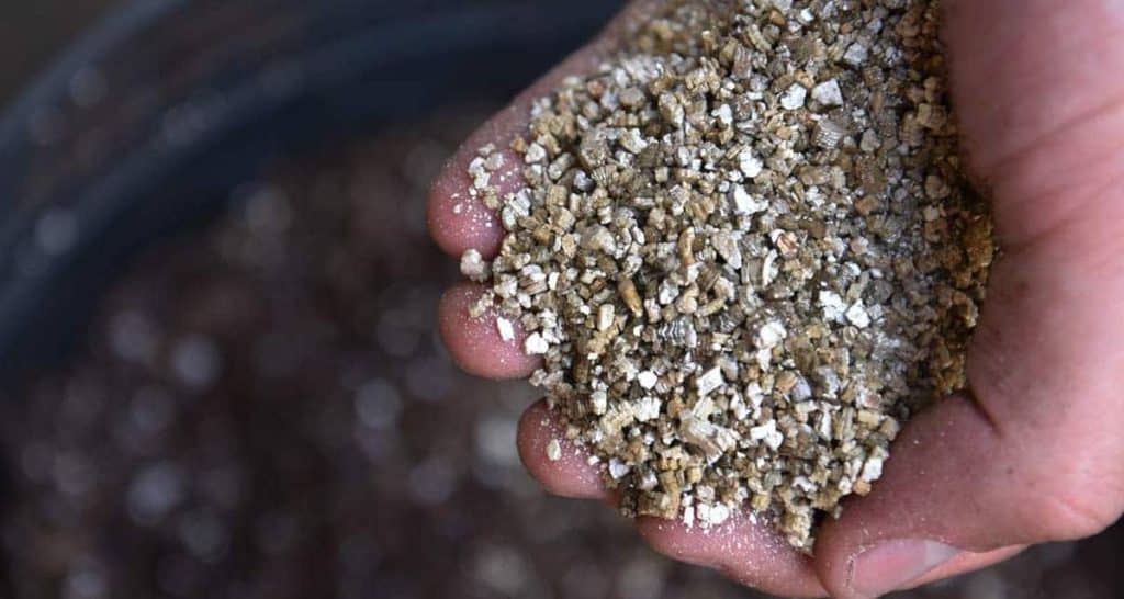 Vermiculita: cómo utilizar este sustrato inerte 3 Usos vermiculita