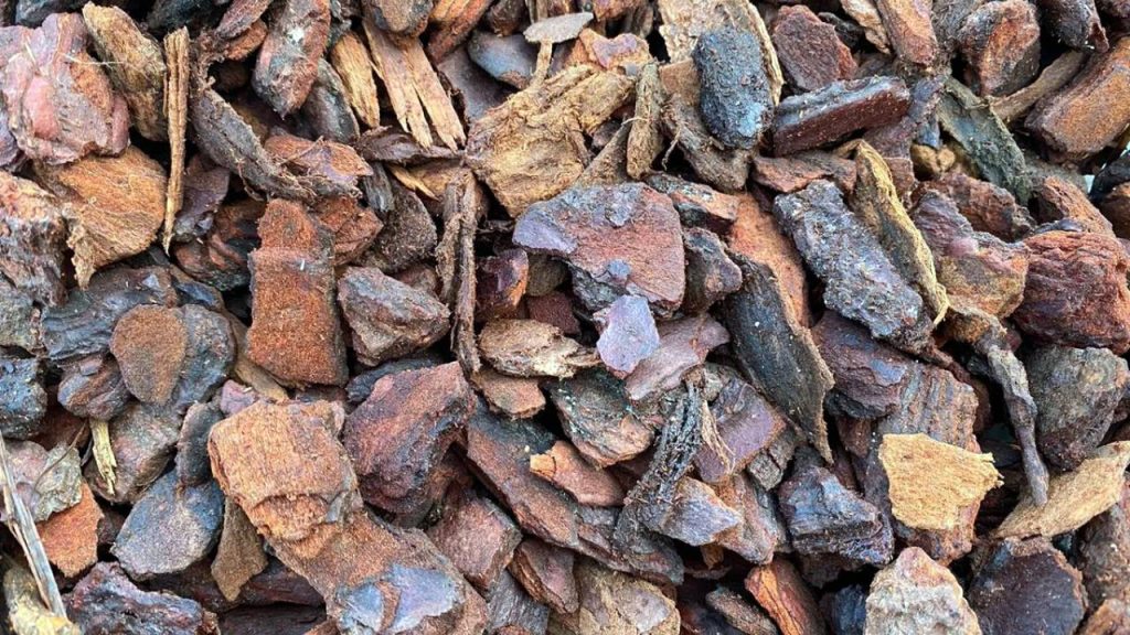 Alternativas al césped artificial: opciones sostenibles para tu jardín 3 Corteza de pino sustrato