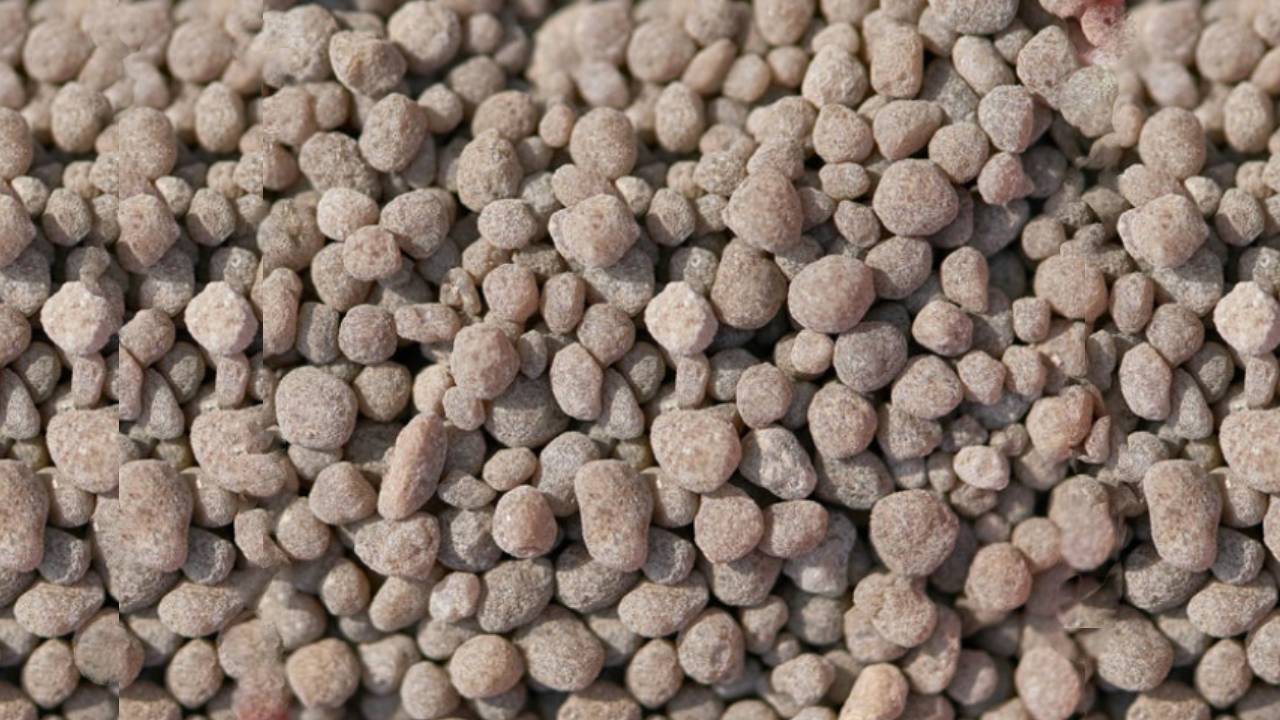 Superfosfato de cal: usos y dosis en agricultura 2 Fertilizante superfosfato de cal