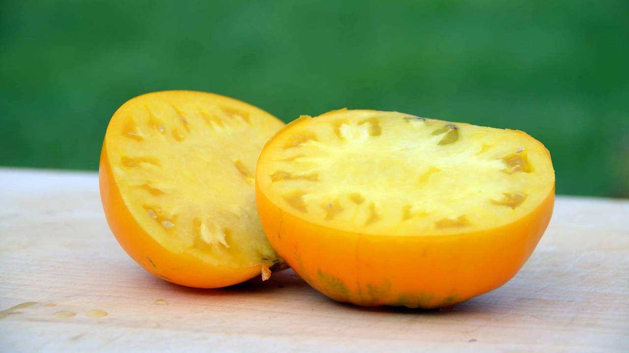 Tomate amarillo de Rusia: descubre sus características diferenciadoras 2 Tomate amarillo de Rusia